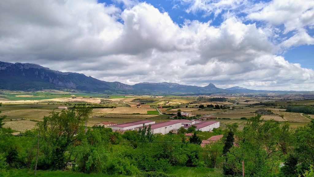 Ruta en camper por Rioja Alavesa: viñedos y pueblos Paisaje de viñedos de Rioja Alavesa con la Sierra de Cantabria al fondo